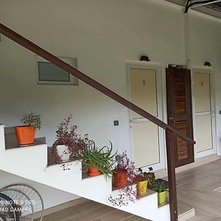 La Maison Du Voyage Tevaitoa Екстер'єр фото